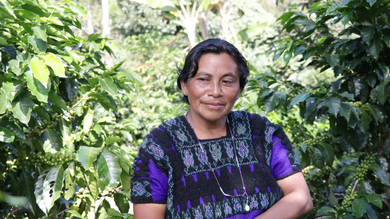 Kaffeebäuerin aus Zongolica, Veracruz, Mexiko